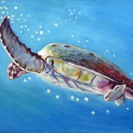 Tortuga oleo sobre tela 50x70cms